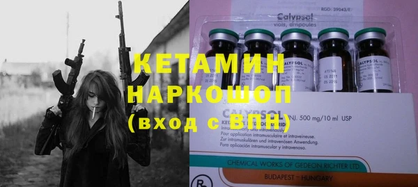 трава Новозыбков
