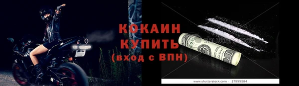трава Новозыбков