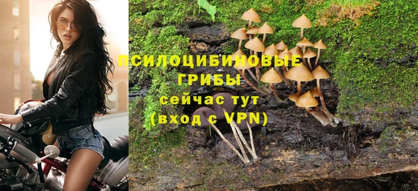 тгк Нефтекумск
