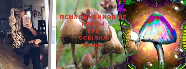 трава Новозыбков