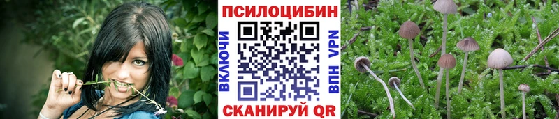 где можно купить наркотик  shop какой сайт  Галлюциногенные грибы Cubensis  Абдулино  hydra ссылки 
